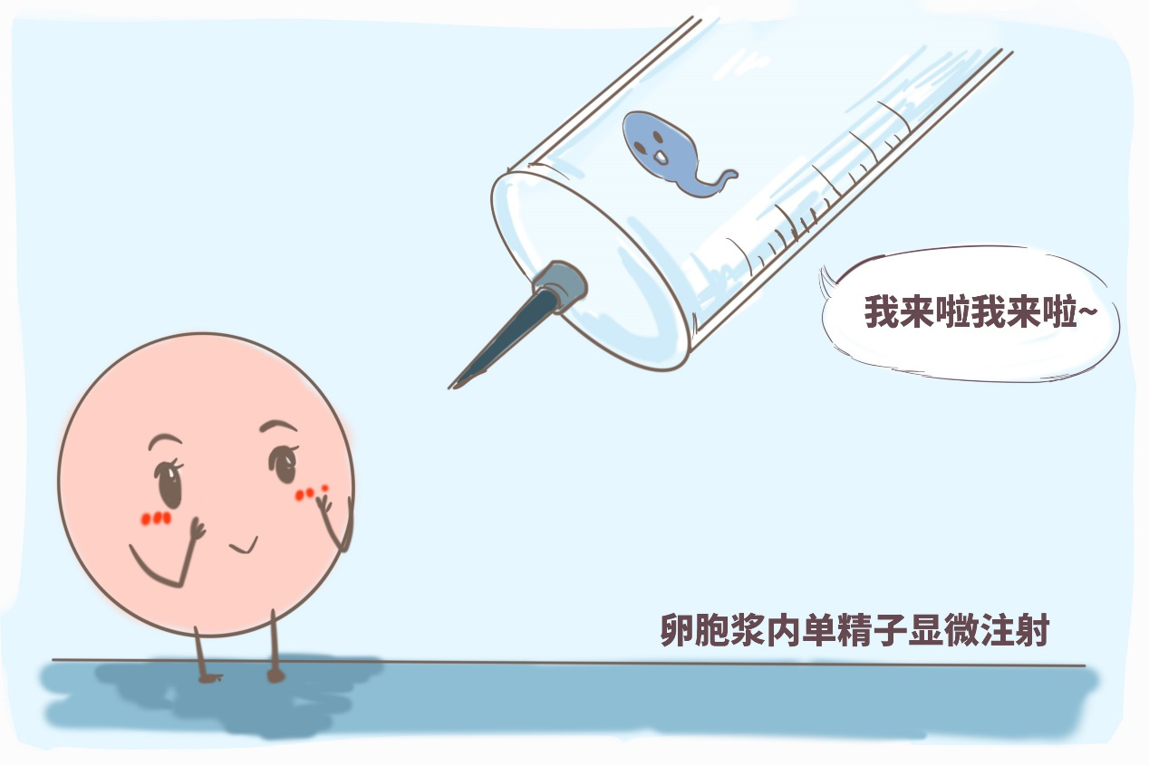 上户口亲子鉴定费用标准解读