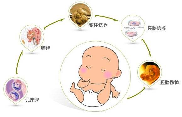 三代试管婴儿技术在国内的应用现状